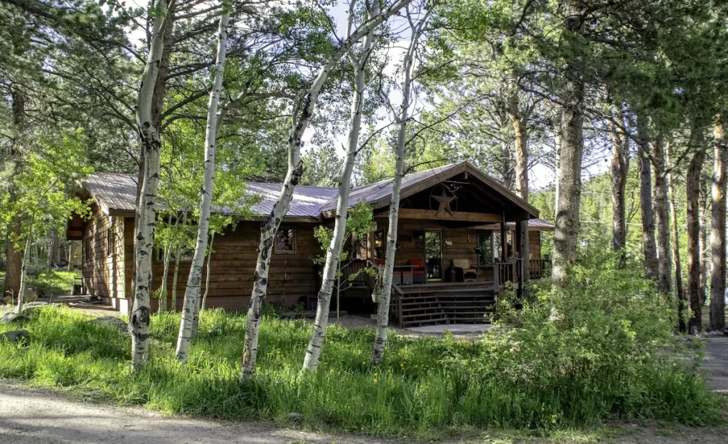 Lone Star Rentals