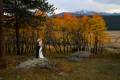 Couple in Rocky Mountain National Park for their Fall wedding day